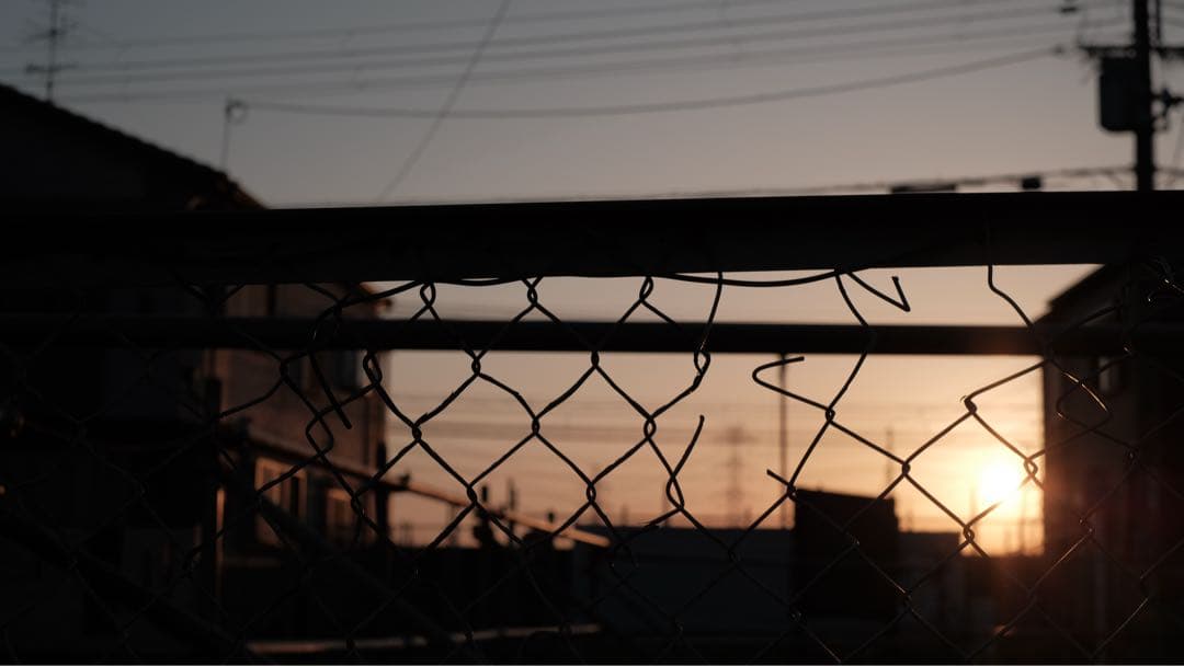 【美品】contax planar 50mm f1.4