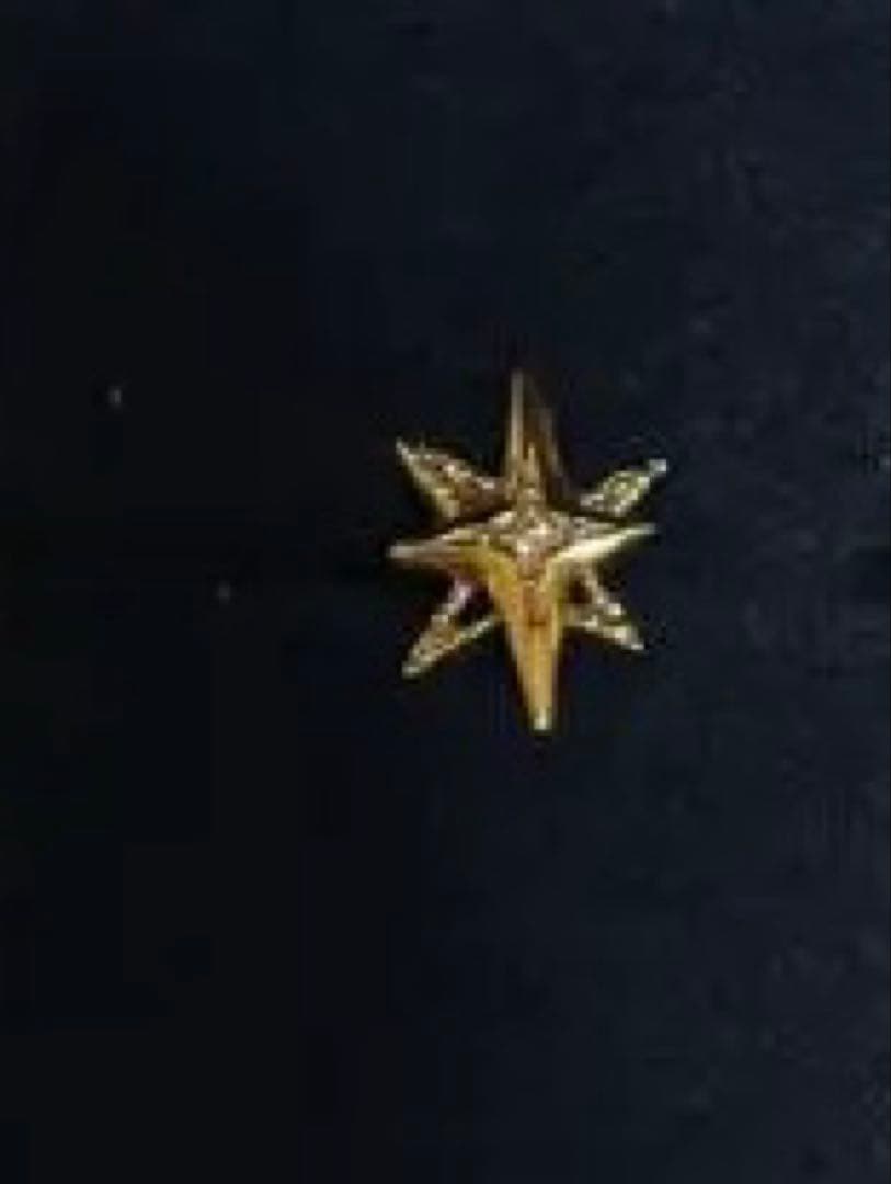 透*様 stellaピアス　片耳