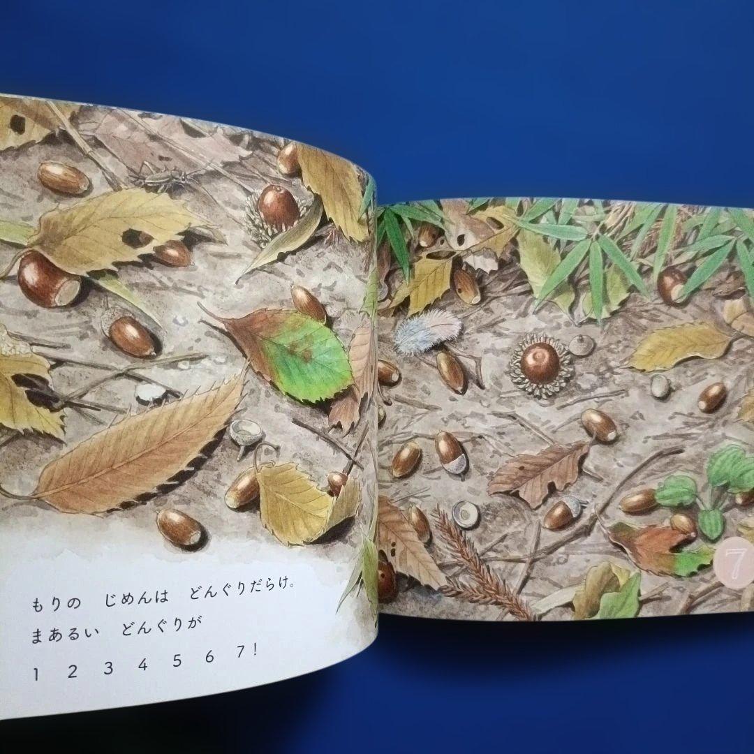 ちいさなかがくのとも　四季のカウンティングブック　いいものいくつ？　福音館