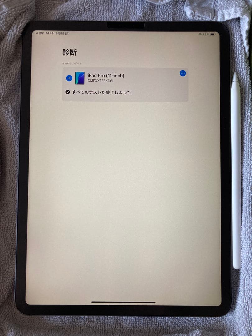 【極美品】iPad Pro 11 1世代 Wi-Fi 256GB グレイ　ペン付