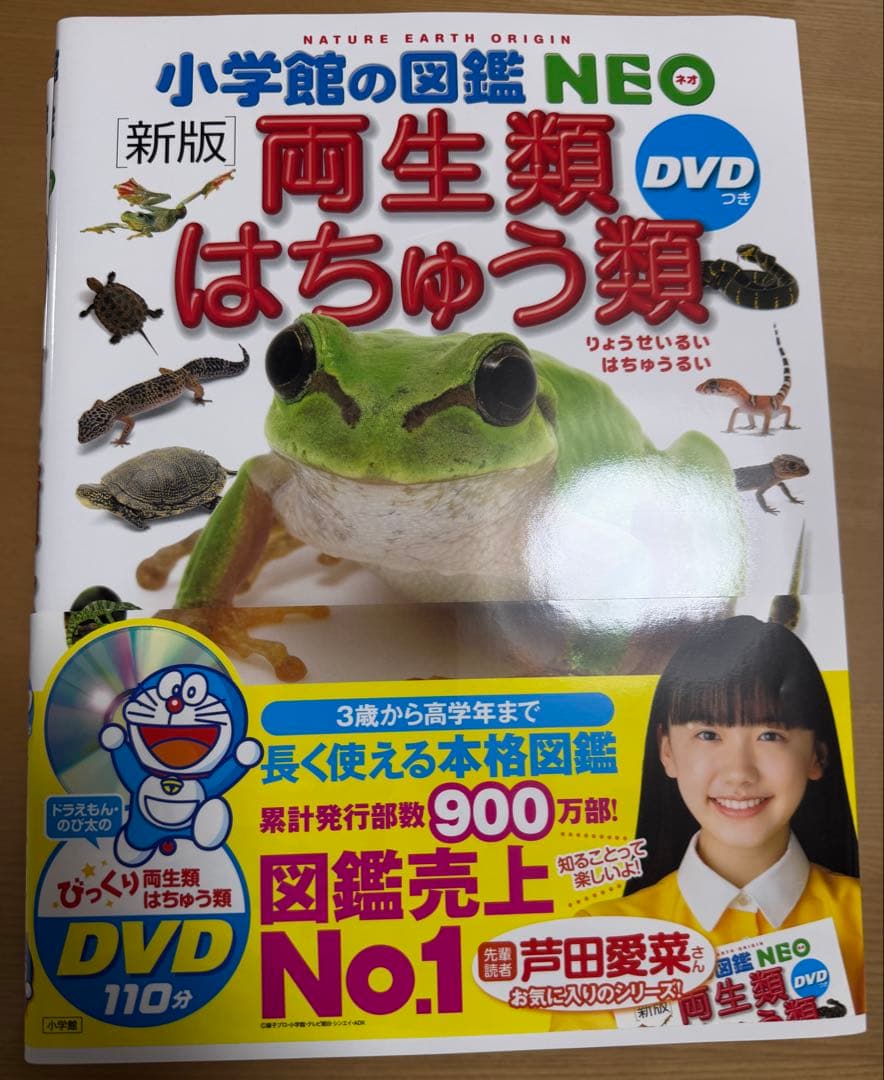 小学館の図鑑NEO 11冊セット　DVD欠品
