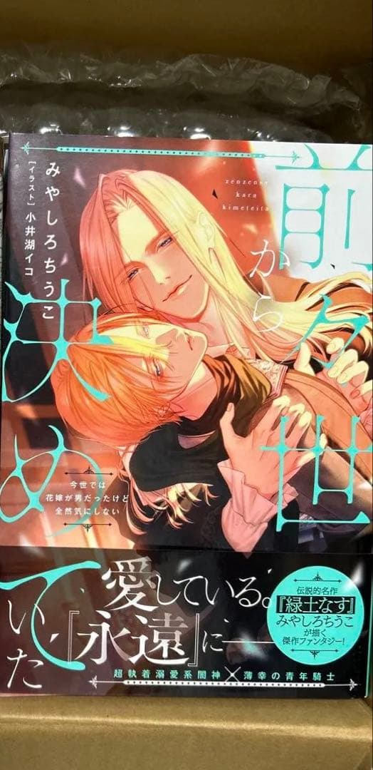 bl小説纏め売り　大判サイズセット