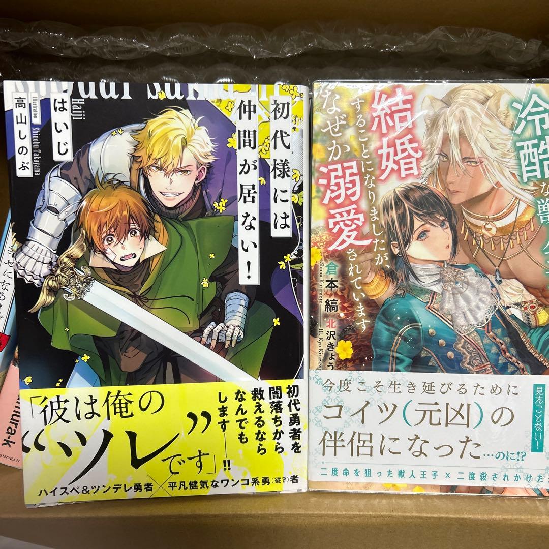 bl小説纏め売り　大判サイズセット