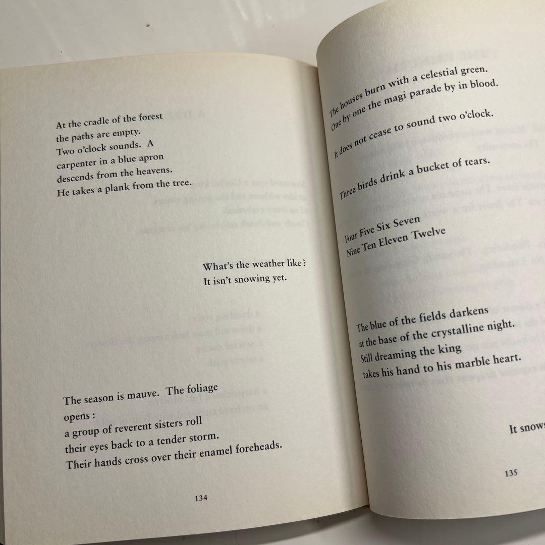 【洋書】Marcel Broodthaers