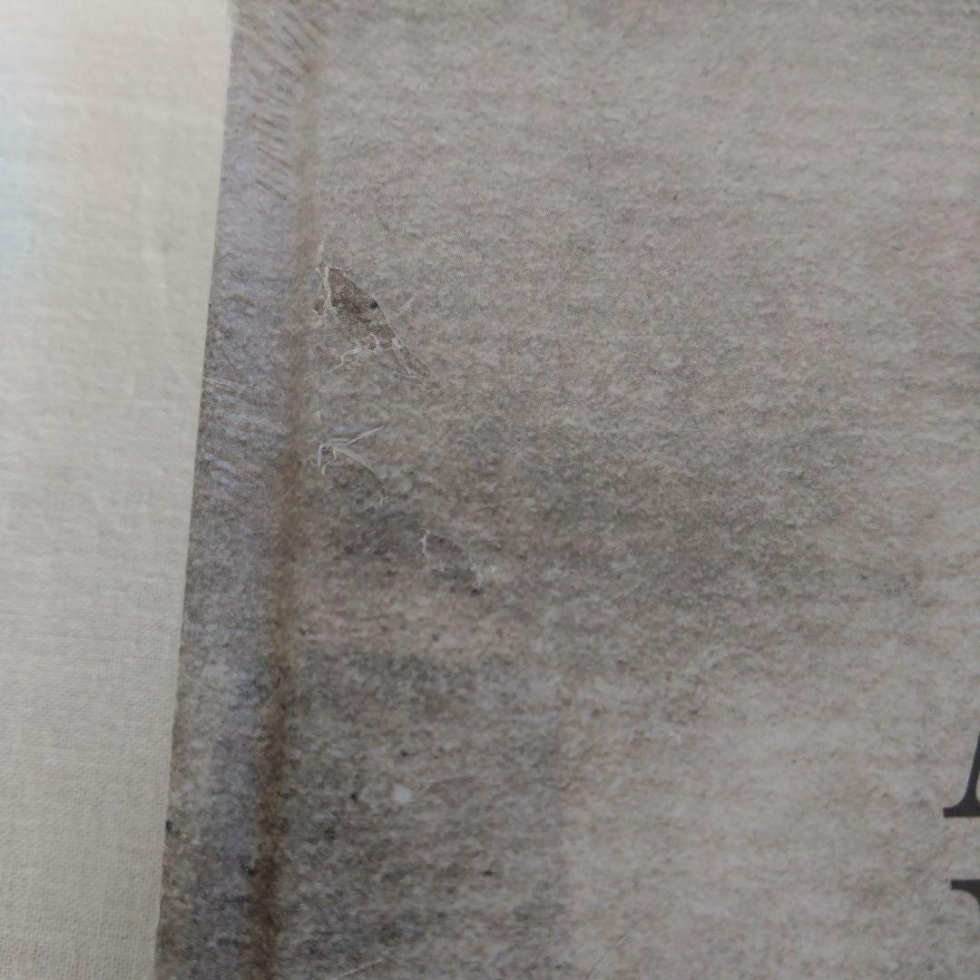 MOMADegasAStrangeNewBeautyエドガードガアート絵画洋書