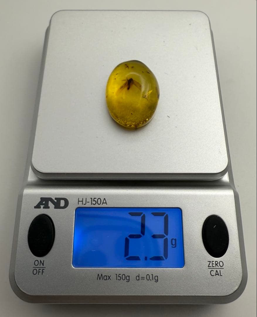 新品未使用 バルティックアンバー 虫入り琥珀 カボション ルース 1/2
