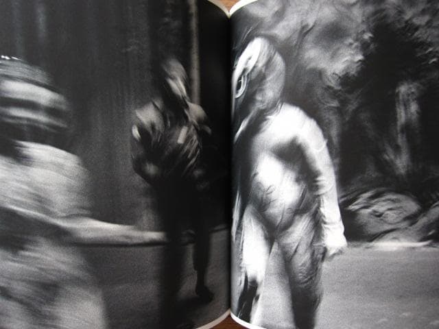 アート・デザイン・音楽 Photographs of the New York City Ballet