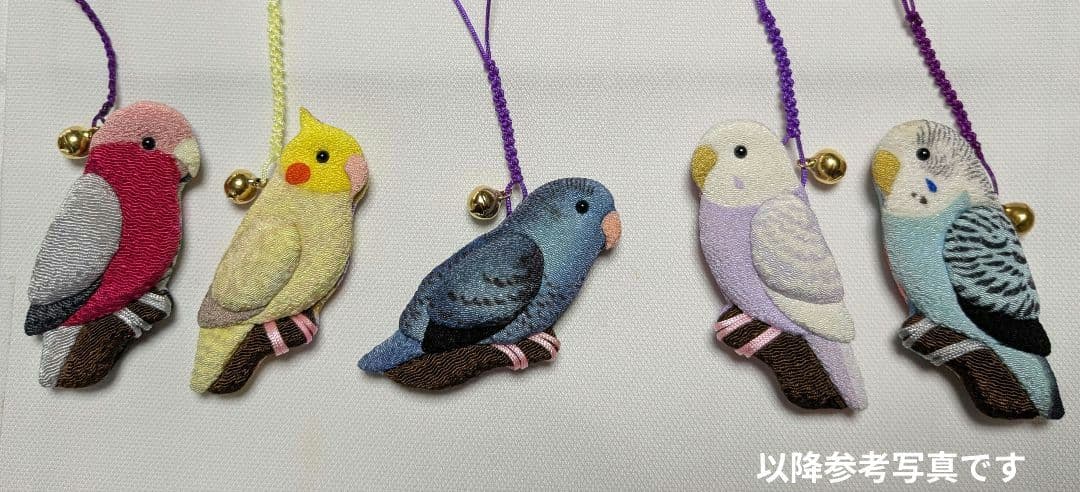 ヨウム　シルバー文鳥　サザナミインコ　　クリーム　グリーン濃・淡