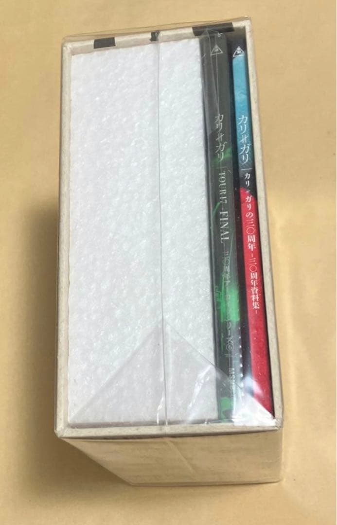 cali≠gari /TOUR 17 FINAL DVD カリガリ 特典DVD付