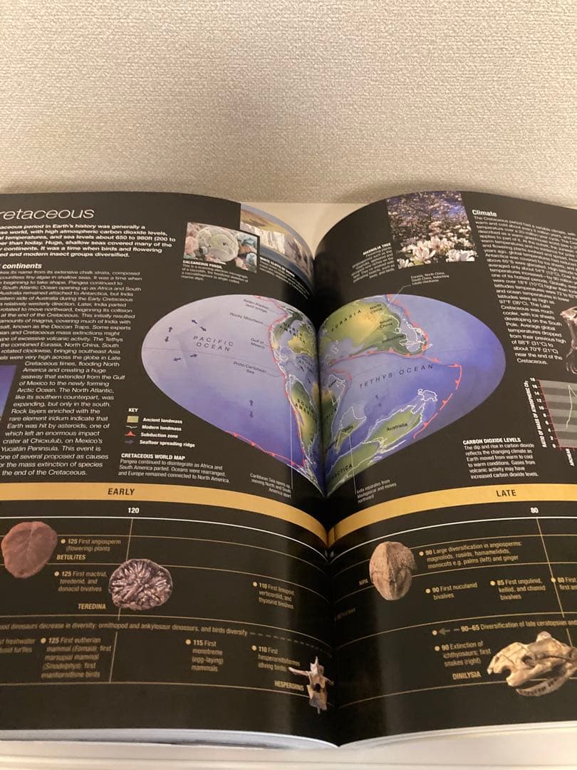 洋書多読　図鑑など7冊　恐竜　鉱物　古生物encyclopedia 人体