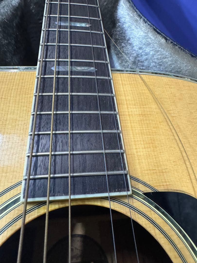 MORRIS TF-801 アコースティックギター