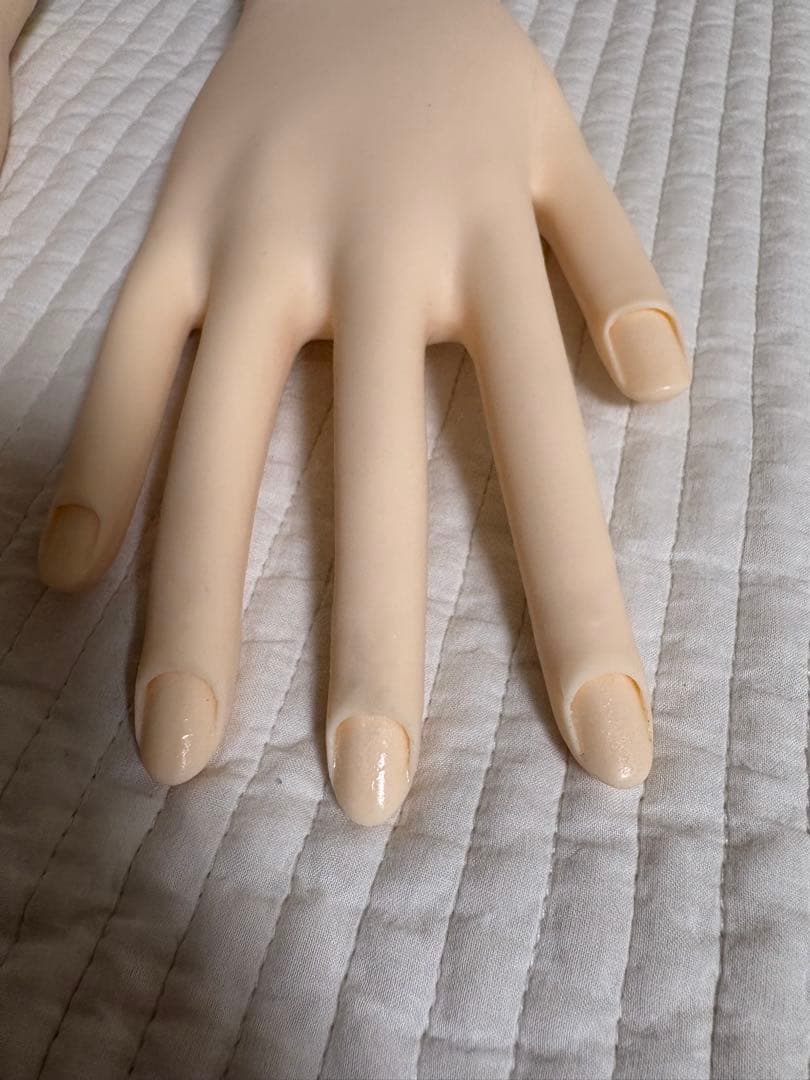 ネイリスト技能検定試験用　認定モデルハンド