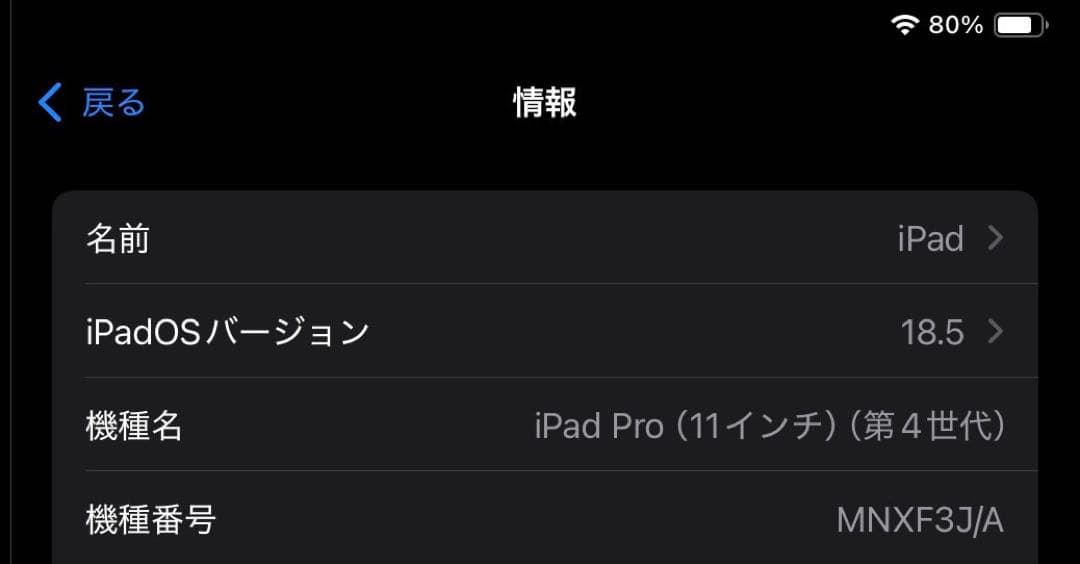 【バッテリ100%】iPad Pro 11インチ256GB Wi-Fi 第4世代