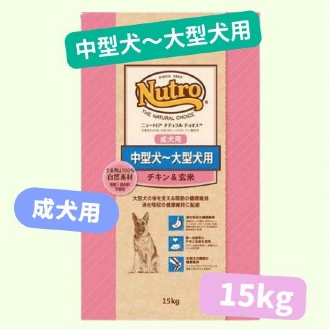 まこと②