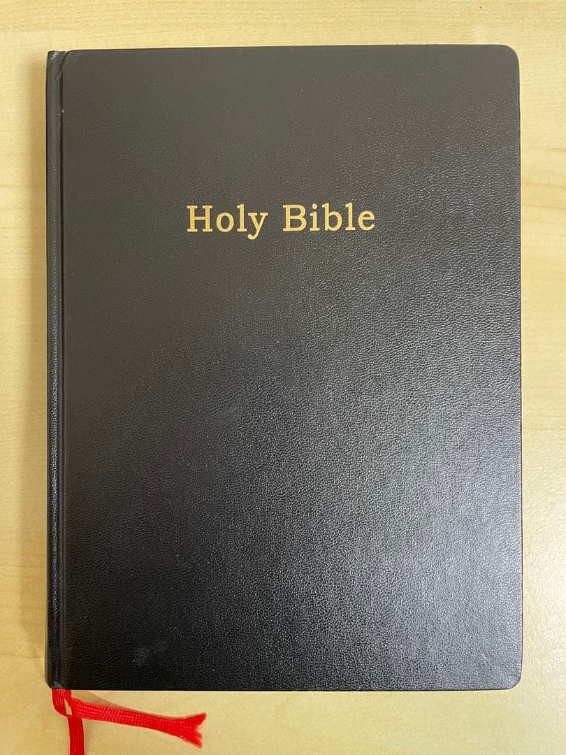 アート・デザイン・音楽 HOLY BIBLE MACK AMC
