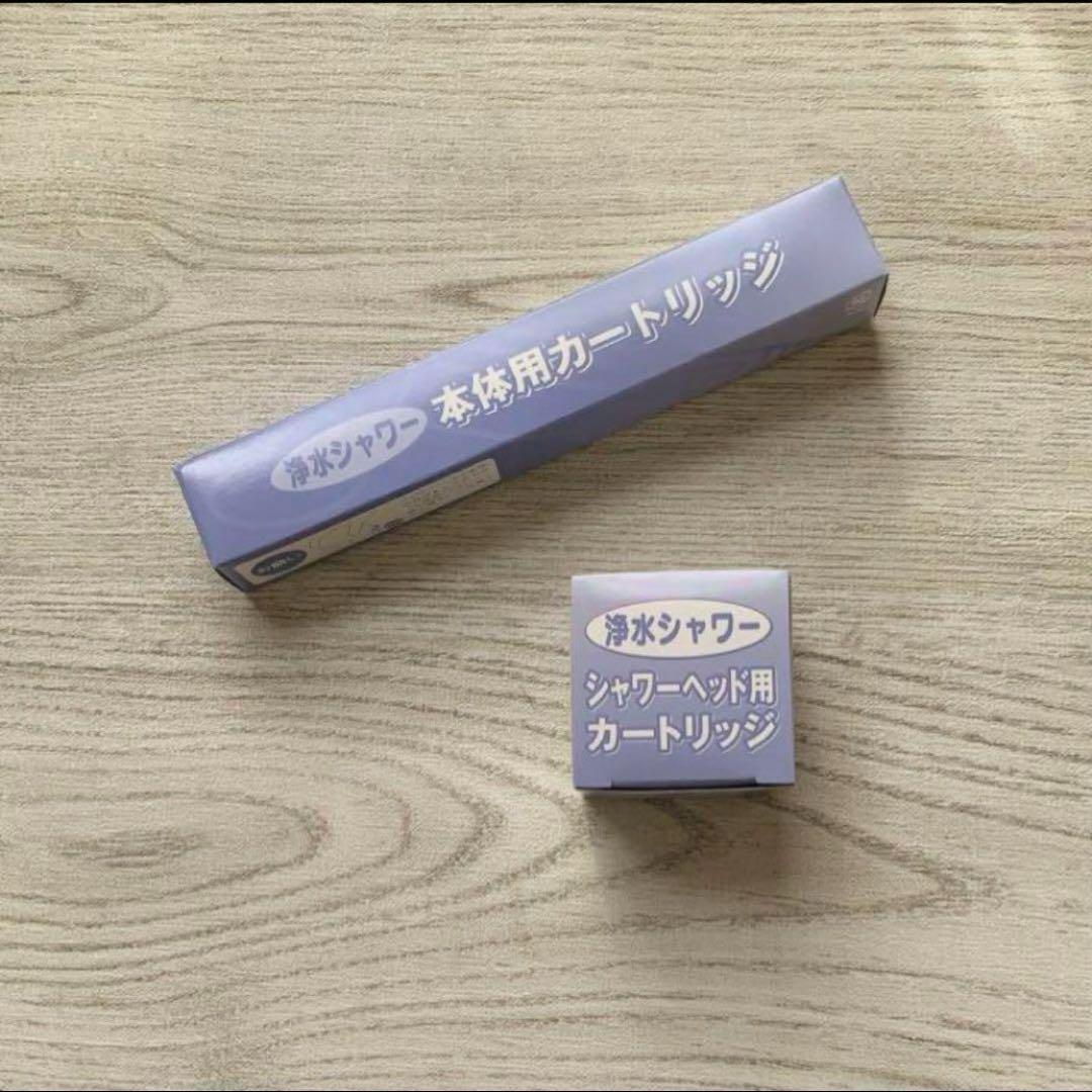 フリーサイエンス 浴室シャワー　カートリッジ 2個セット　素粒水