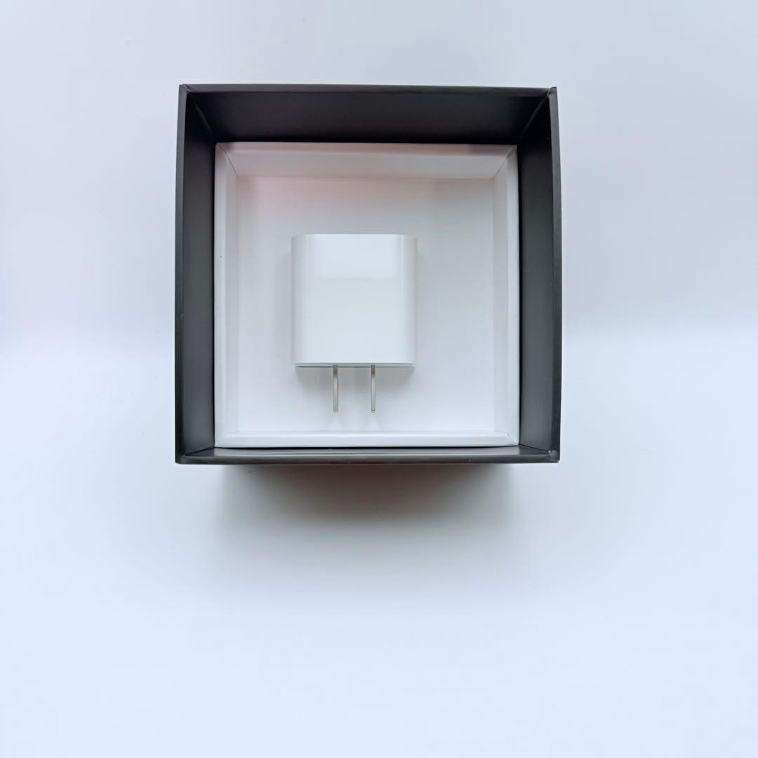 Apple Pod mini スペースグレー 本体