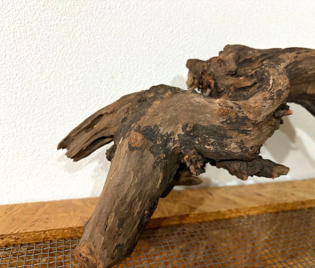 流木 水槽 爬虫類　レイアウト用品　3サイズセット