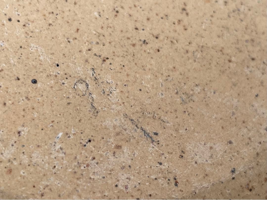 陶芸家　作家物　船木研児　舩木　研兒　うさぎ　丸皿　布志名焼　出雲　民芸　民藝