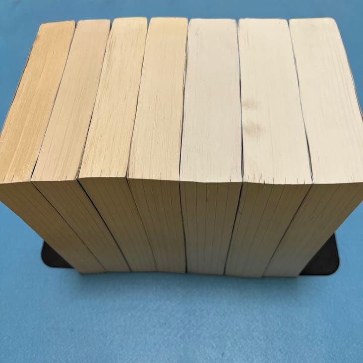 青本　早稲田大学　政治経済学部 1995年～2019年　25年分　駿台予備学校