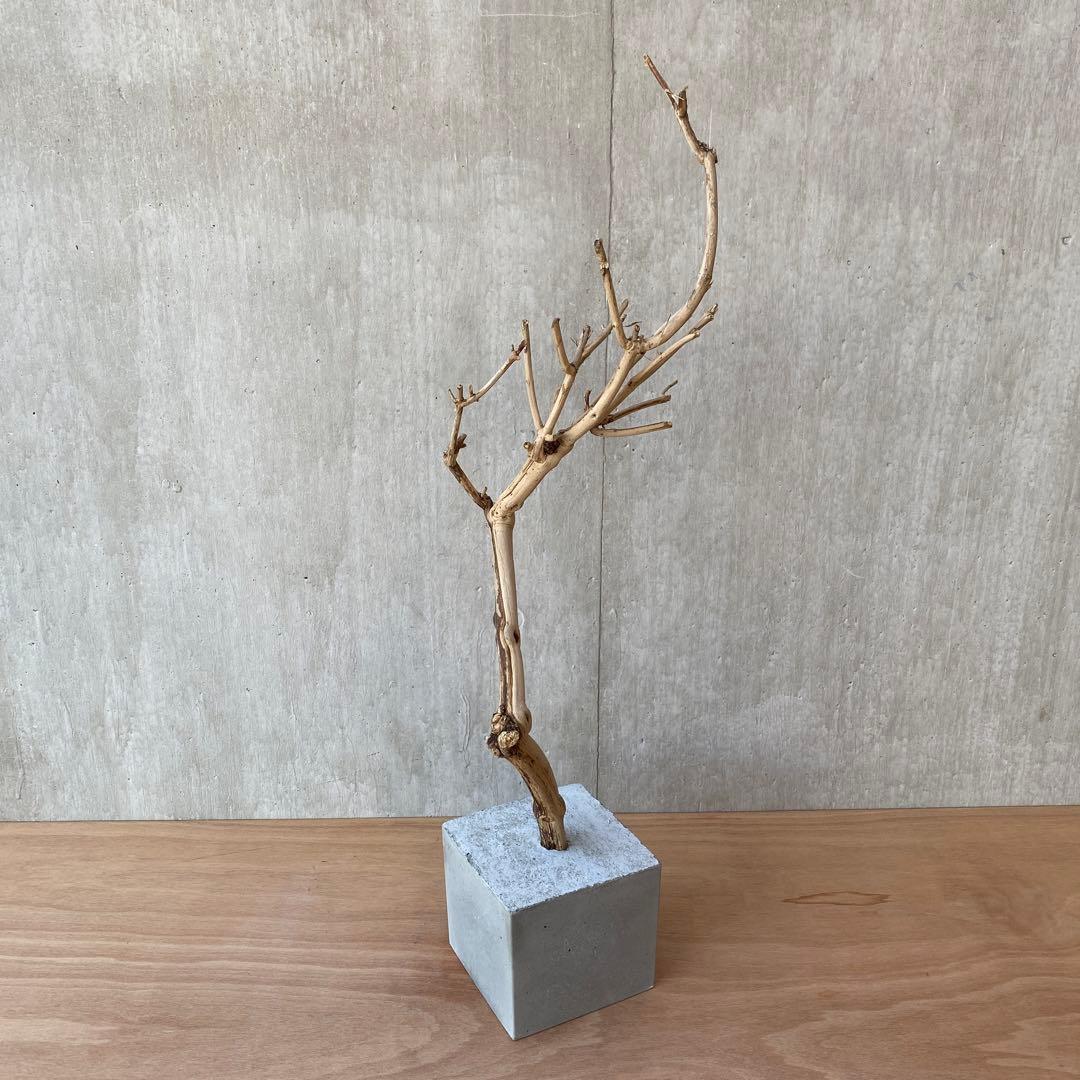 【コンクリート盆栽 流木オブジェ】ディスプレイ アート インテリア 鍵 爬虫類