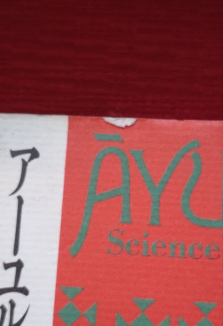 【激レア!!平成初期の書籍】アーユルヴェーダ 日常と季節の過ごし方　平河出版社