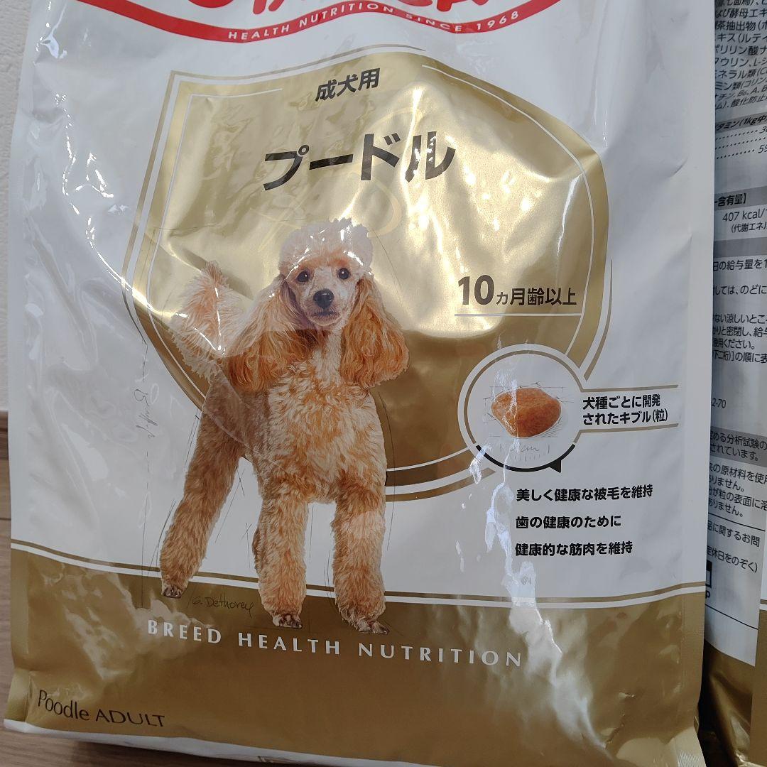 CANIN プードル ドッグフード 3kg 新品 2袋分