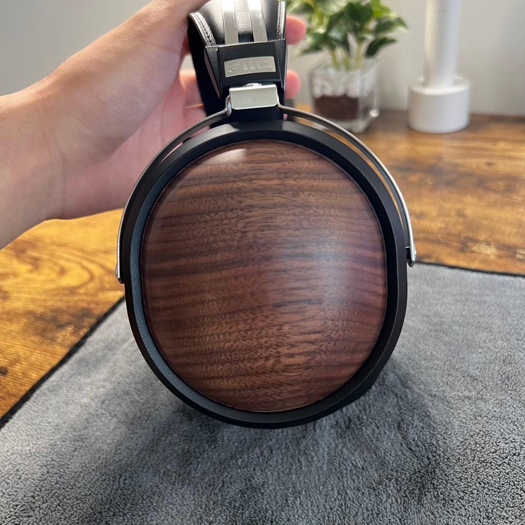 fiio FT1＆EarProfit PERFORMセット