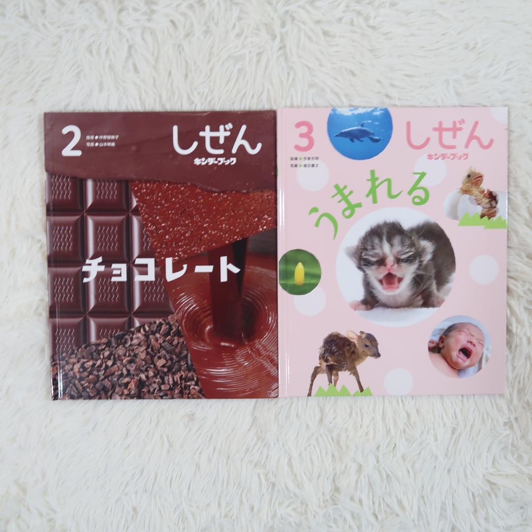 キンダーブック　しぜん 50冊セット　【24時間以内発送】