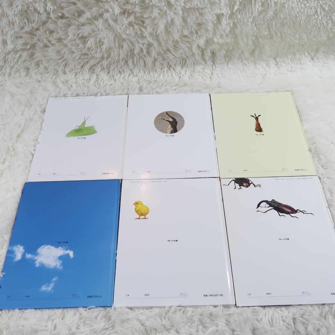 キンダーブック　しぜん 50冊セット　【24時間以内発送】