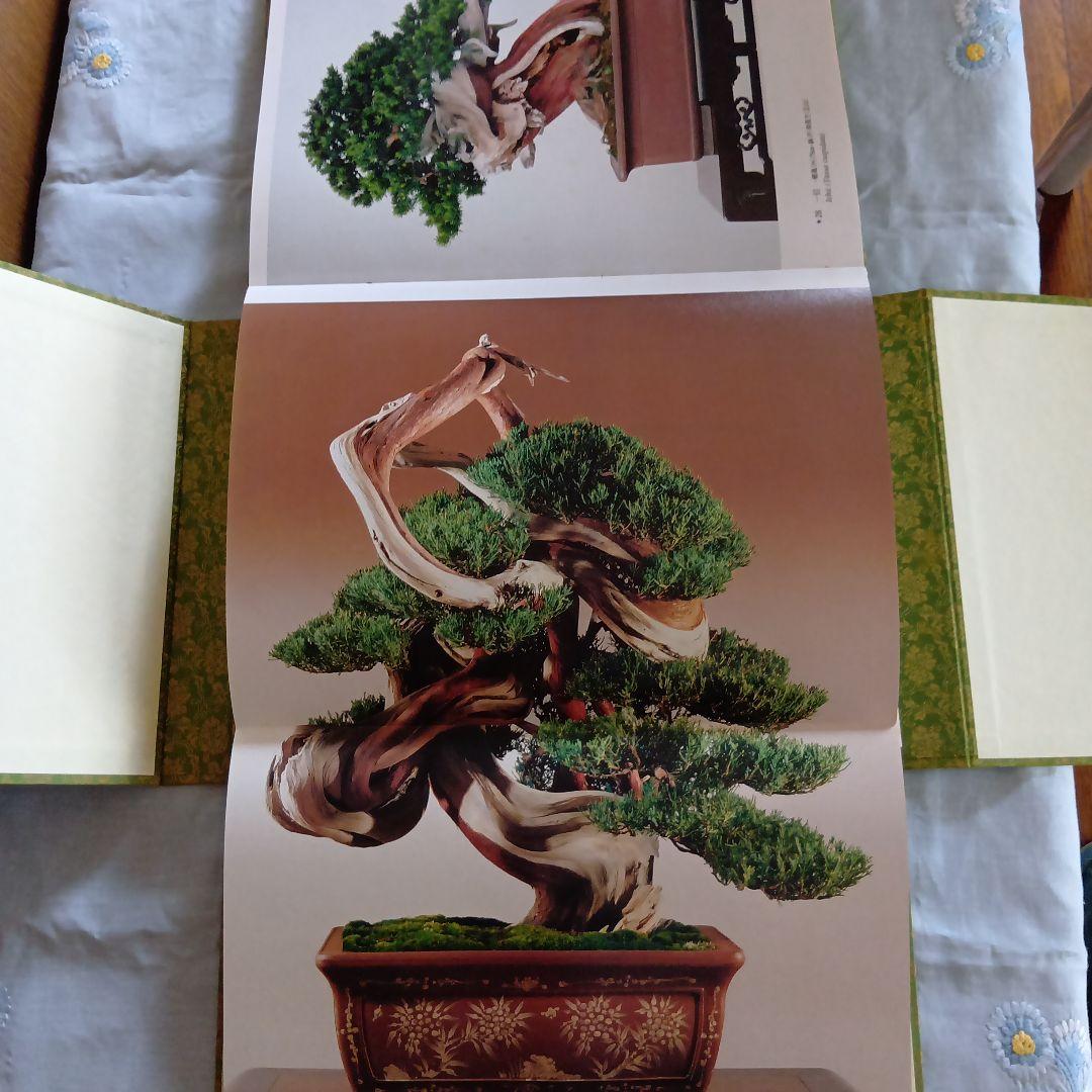 高砂庵 盆栽作品集