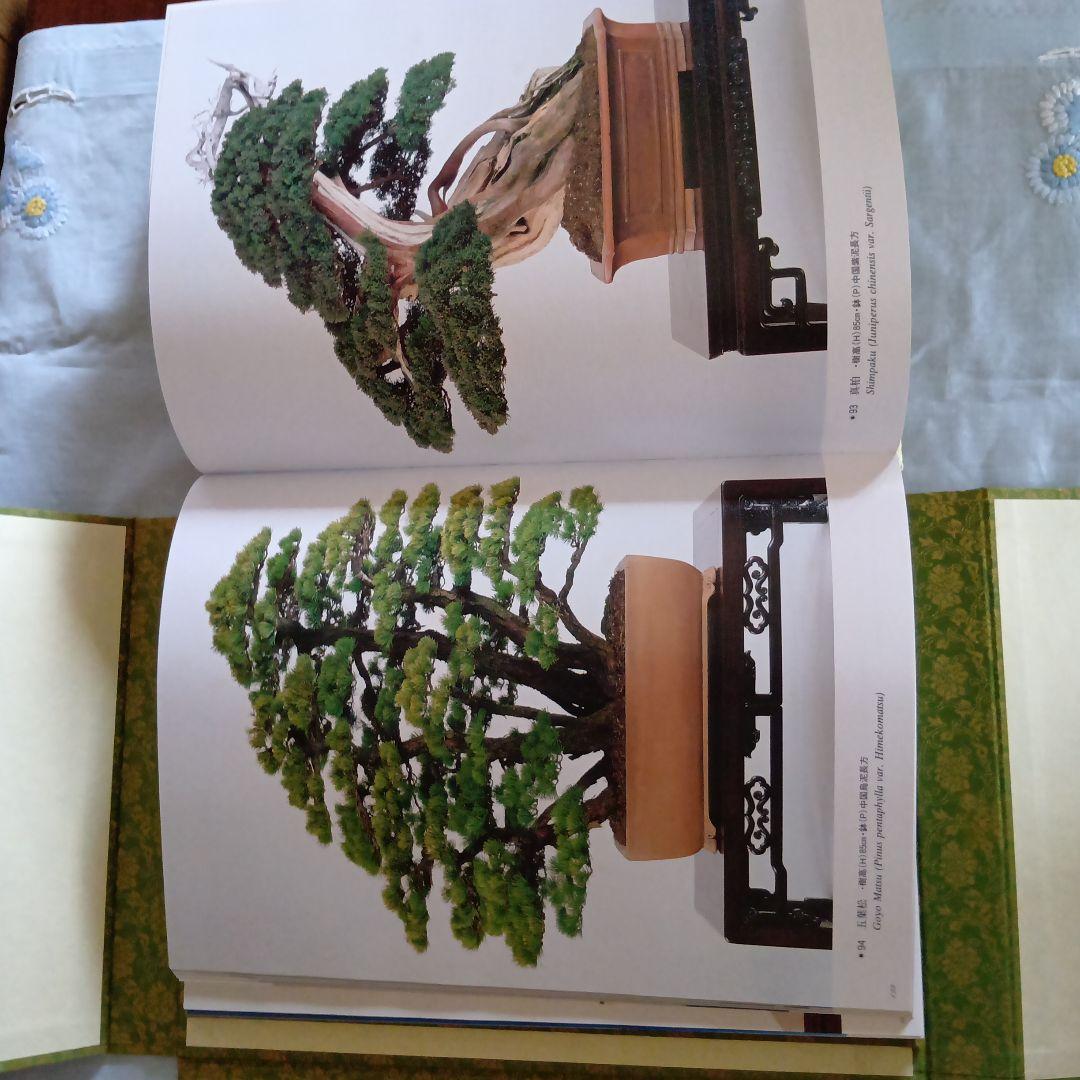 高砂庵 盆栽作品集