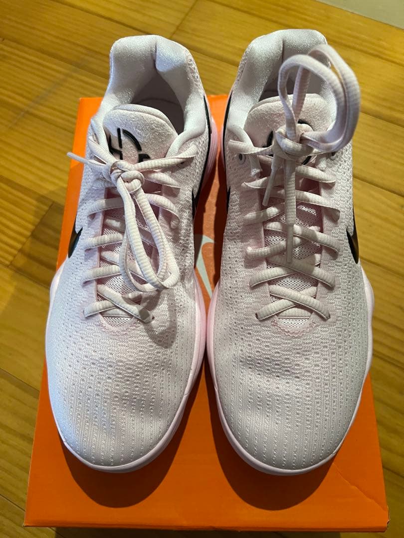 お*む様 Nike ハイパーダンク2017 26cm