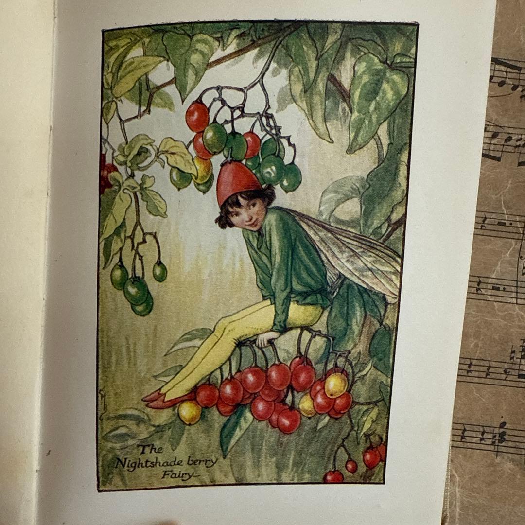 稀少アンティーク愛らしい妖精達の挿絵イギリス絵本　洋書　古書ジャンクジャーナルに