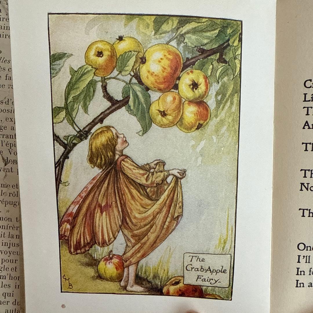 稀少アンティーク愛らしい妖精達の挿絵イギリス絵本　洋書　古書ジャンクジャーナルに