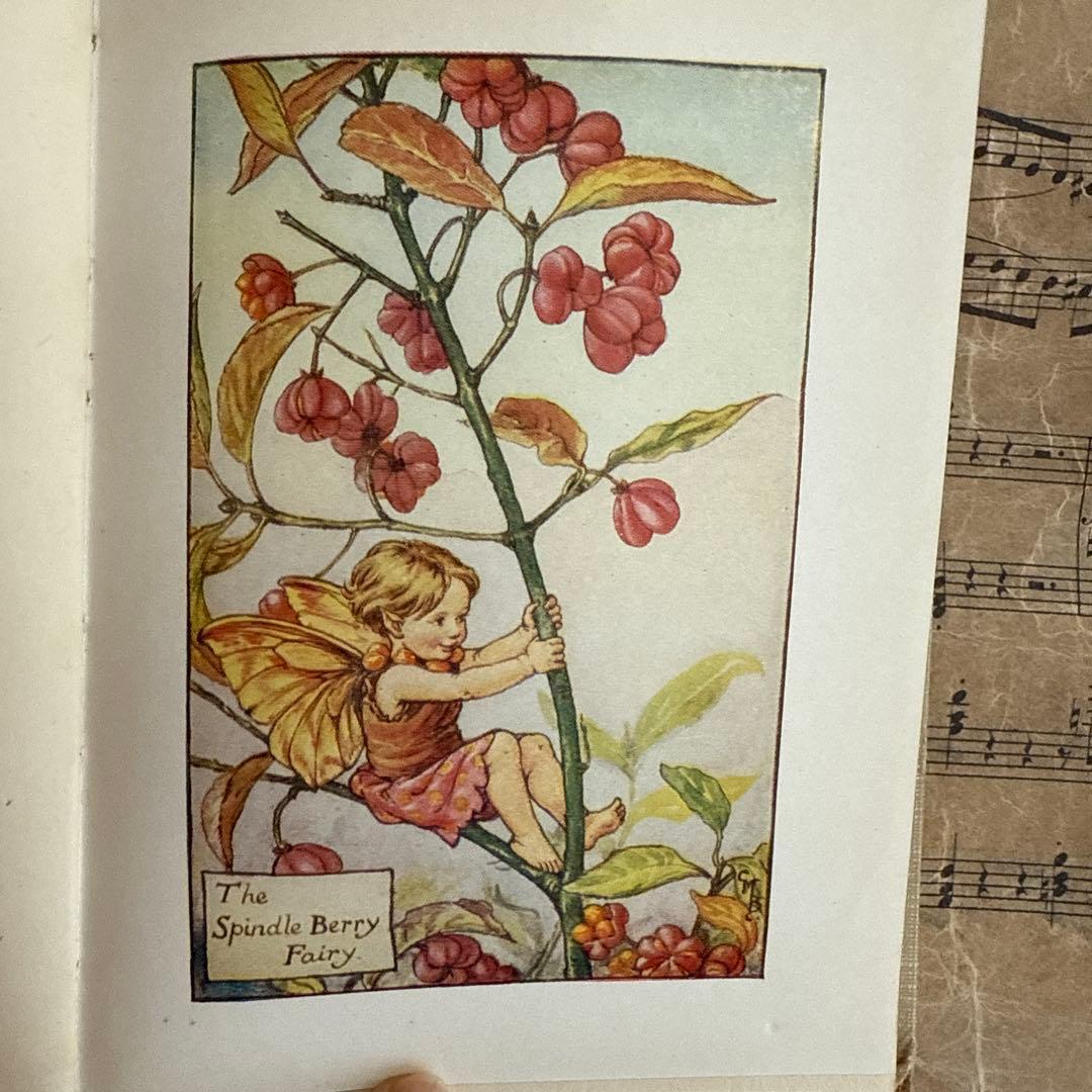 稀少アンティーク愛らしい妖精達の挿絵イギリス絵本　洋書　古書ジャンクジャーナルに