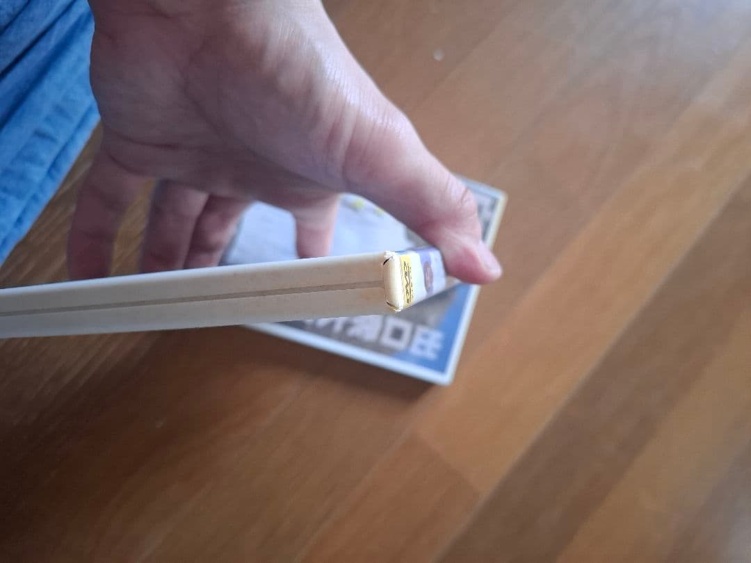 混元太極拳 陳氏太極拳 馮志強 出口衆太郎 VHS•DVDセット [動作確認済]