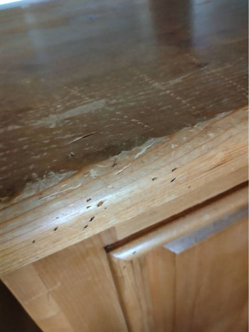 パイン材 カウンター 什器　イギリス製