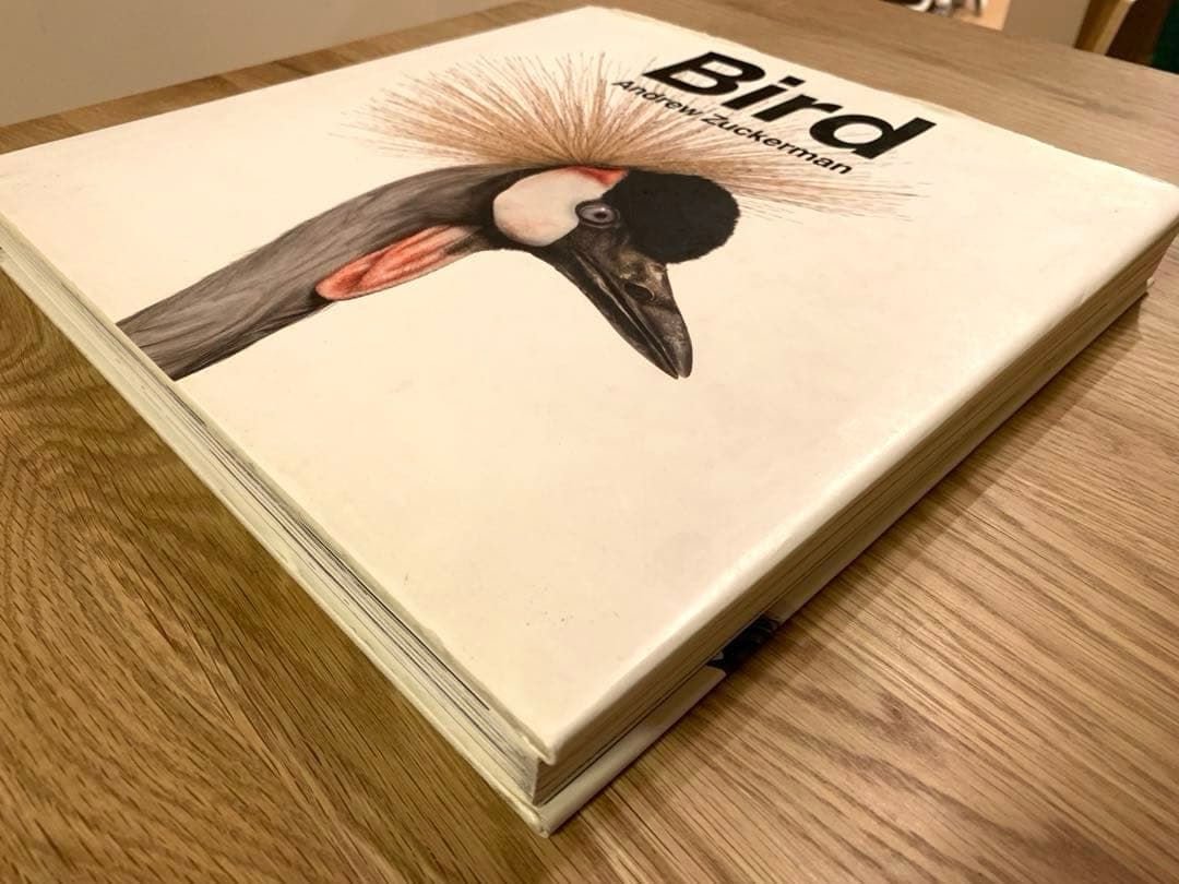 アート・デザイン・音楽 Bird _ Andrew Zuckerman