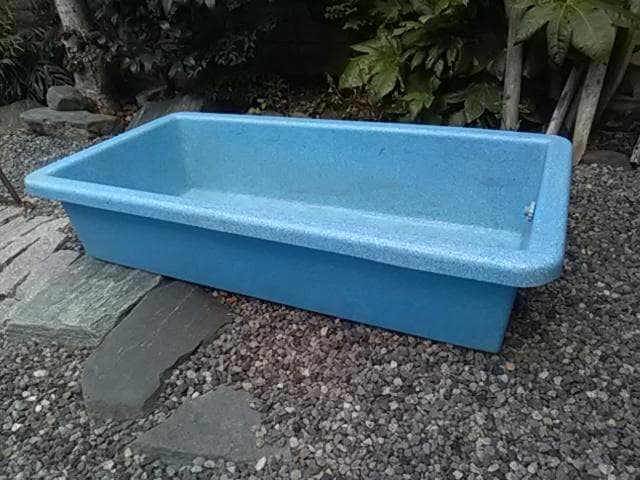 いけす・生け簀・金魚すくい・らんちゅう・睡蓮・水草・ひょうたん池