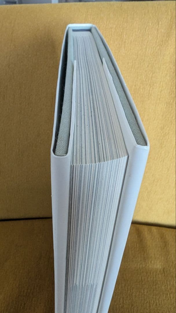 Ryan Mcginley　you and i ライアンマッギンレー写真集