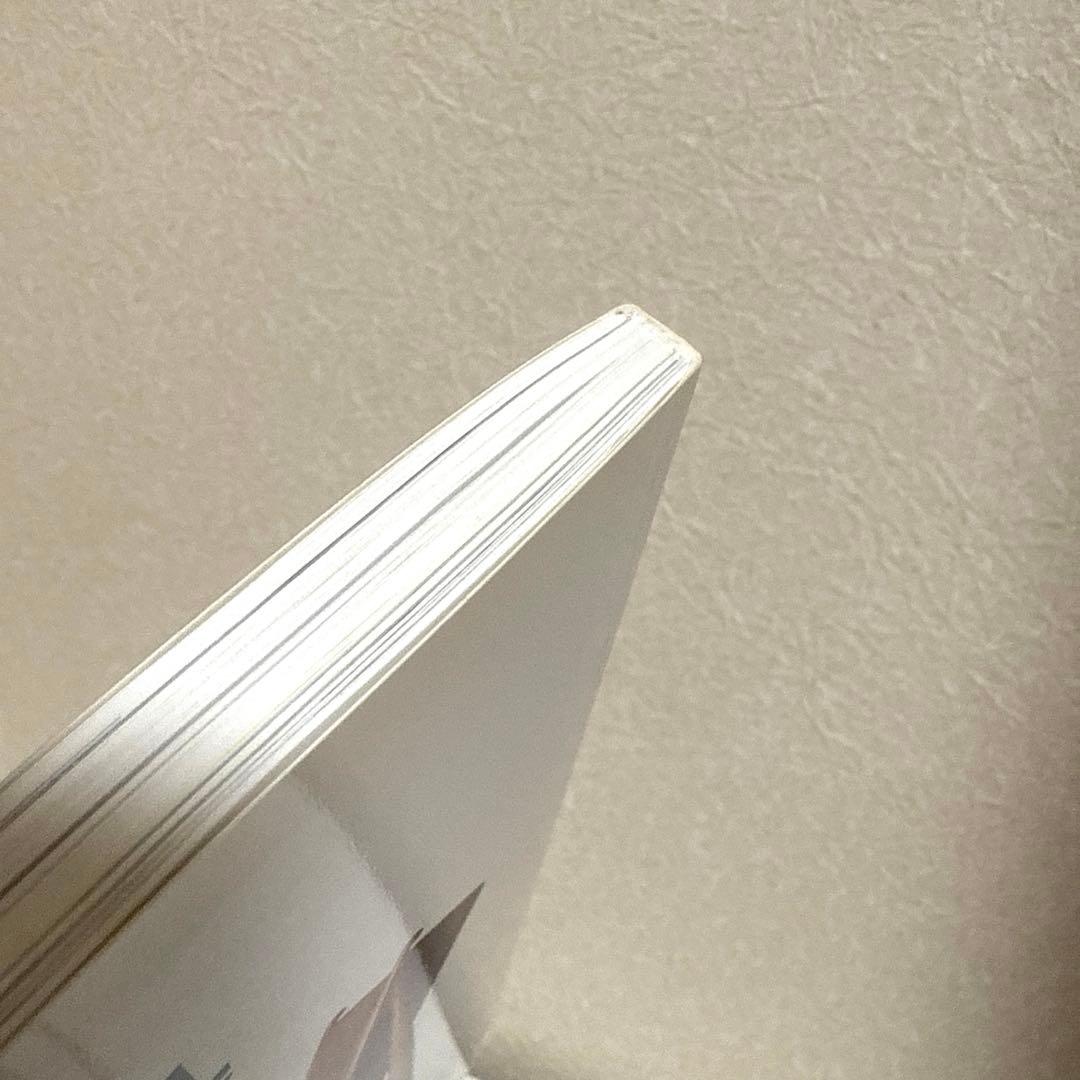 デンマーク家具 時を超える魅惑のモダン・デザイン　山根郁信　北欧　椅子