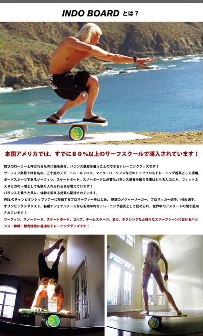 INDO BOARD インドボード リクトレ イメトレ　スノボ サーフィン 体幹