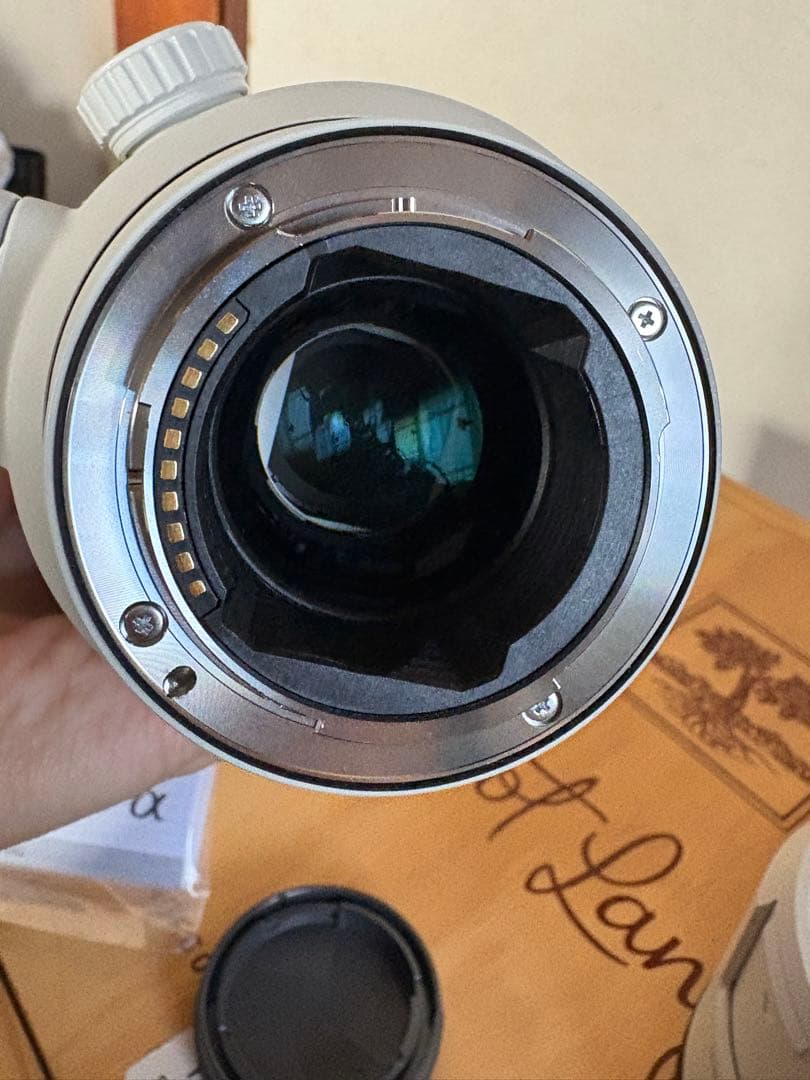【SONY】⭐︎美品⭐︎FE 70-200mm F2.8 GM OSS II