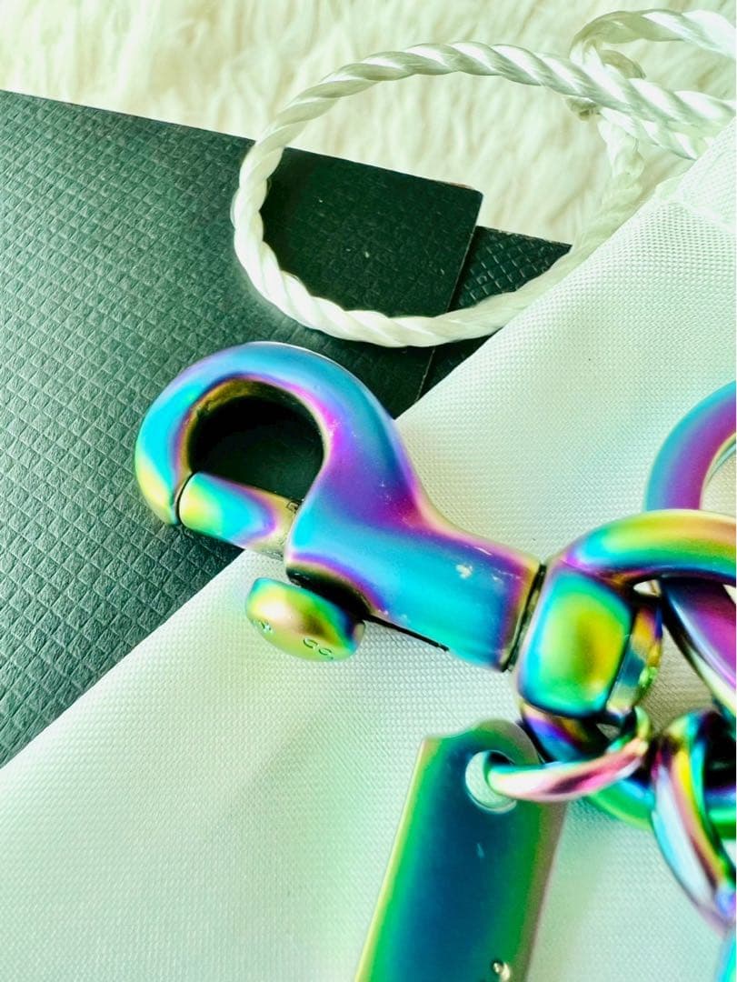 ✨極美品✨COACH　コーチ　キーホルダー　チャーム　恐竜　レキシー　ダイナソー