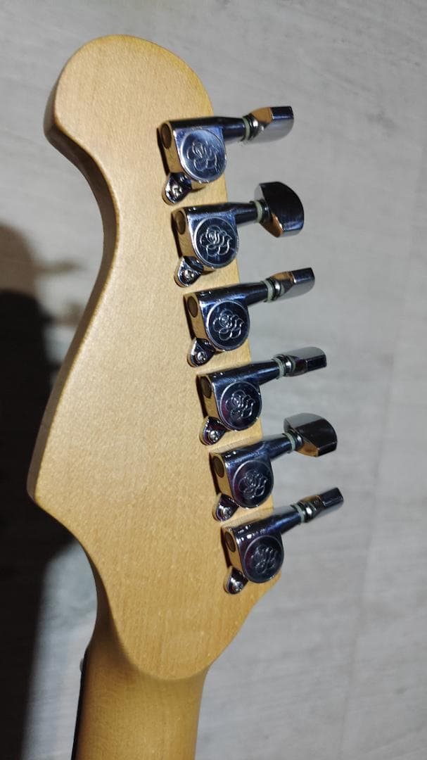 Gypsy Rose (9点セット)