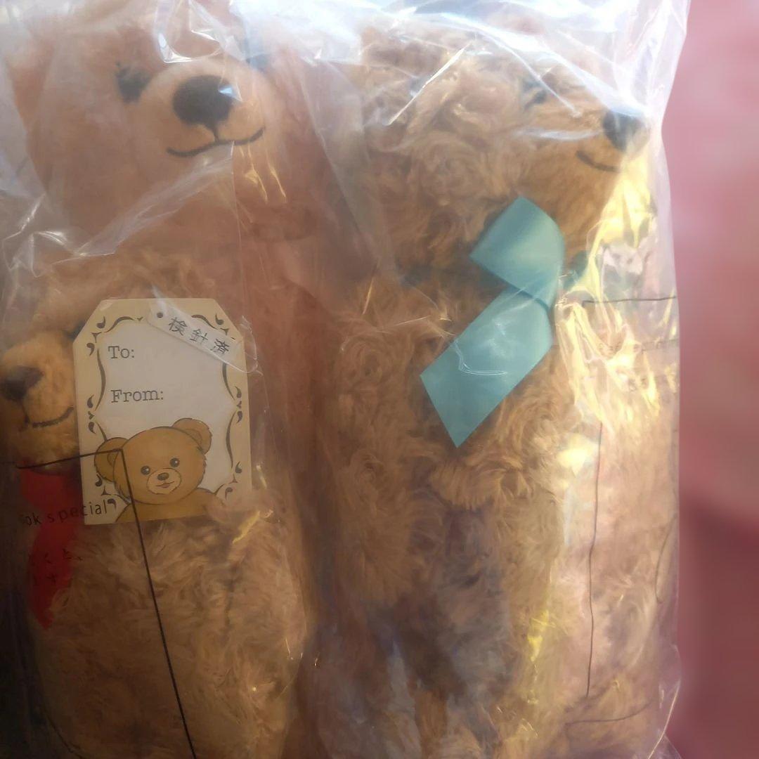 ハニーテディベア★ファミリー★ベビー、ガール、ボーイぬいぐるみ&バックパック