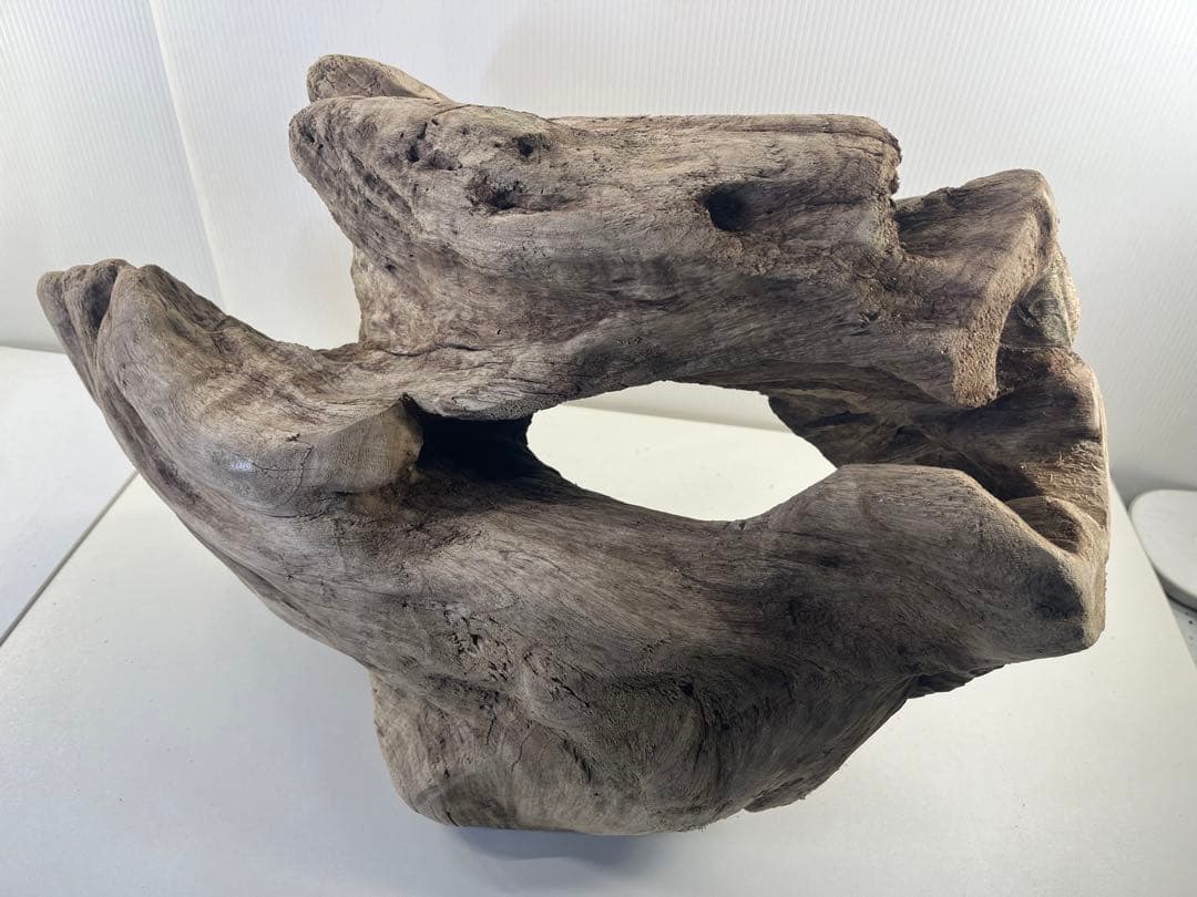 m6大型流木 アク抜き済み 爬虫類シェルター レイアウト用 オブジェ インテリア