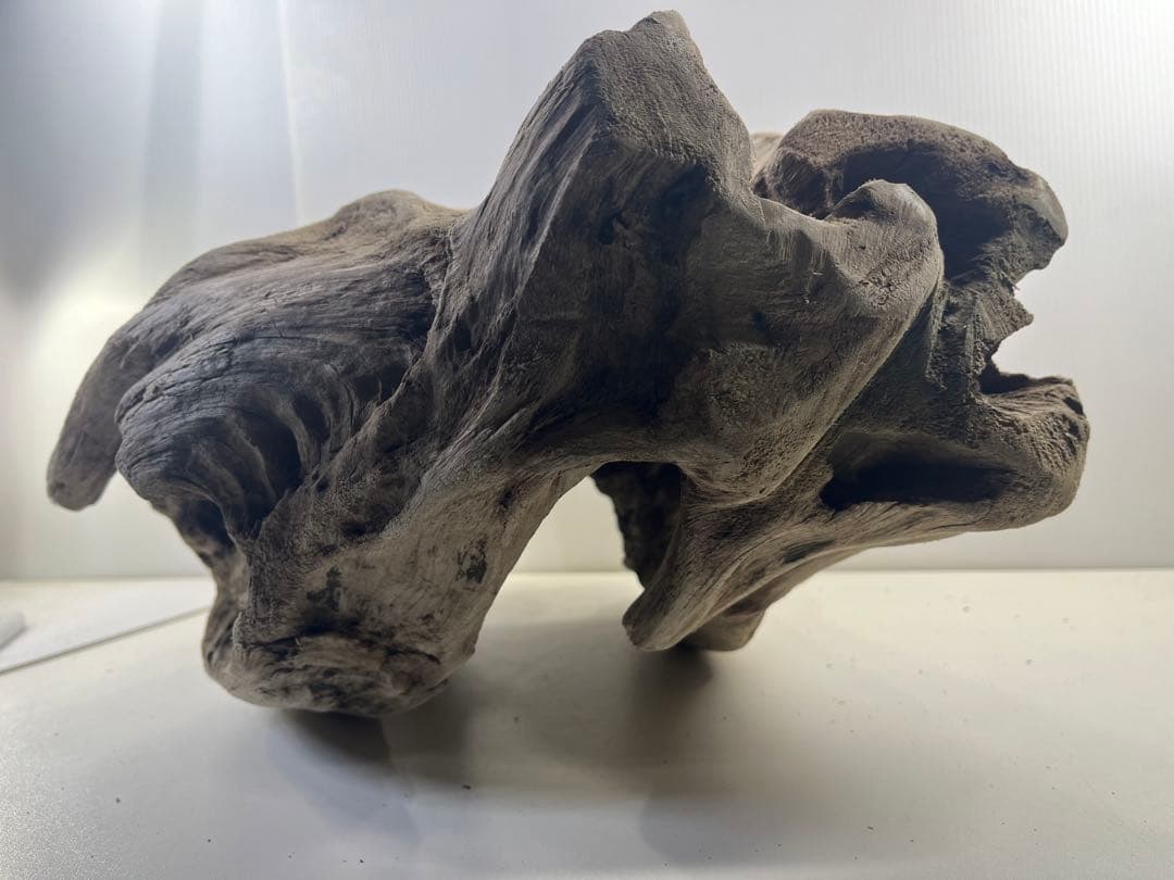 m6大型流木 アク抜き済み 爬虫類シェルター レイアウト用 オブジェ インテリア