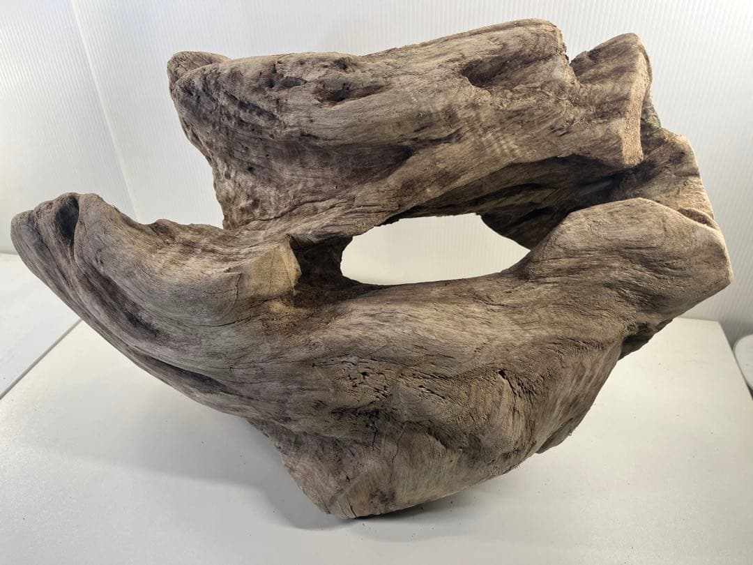 m6大型流木 アク抜き済み 爬虫類シェルター レイアウト用 オブジェ インテリア